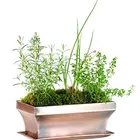 Pot Hot Ceremic Selling Mold Flower Pot With Ce Certificate