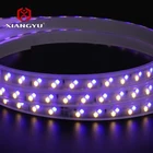 Led Light Led Strip Led Light Hot Selling Double Row Outdoor Ip65 Waterproof Smd 4040 2835 6w Led Strip Light