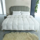 Chinese Factory OEM ODM Goose Duck Down Duvet Quilt Comforters Great Price