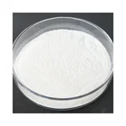 Powder Cellulose New Developed PAC Powder Polyanionic Cellulose Low Viscosity PAC Cellulose At The Wholesale Price