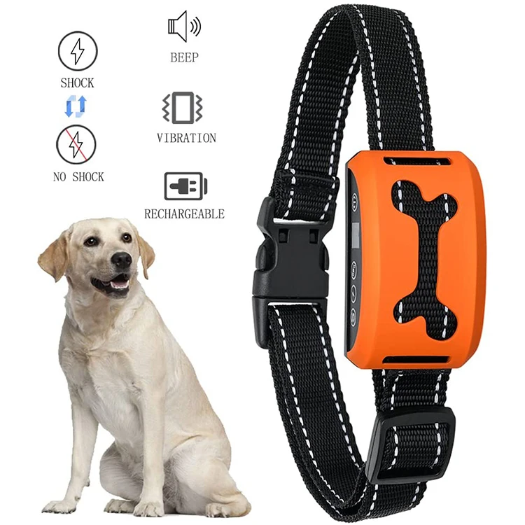 colpet shock collar