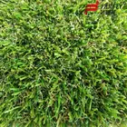 Grass 2021 Hot Sales Products Artificial Carpet Artificial Grass Garden Landscape Models Artifical Grass