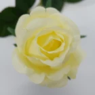 Wedding Valentine's Day Wedding Keep Beautiful Roses Lasting Used For Wedding Proposal Valentine's Day Home Decoration