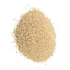Resin Best Plastic Resin 100% Biodegradable Raw Material Plastic Resin Granules