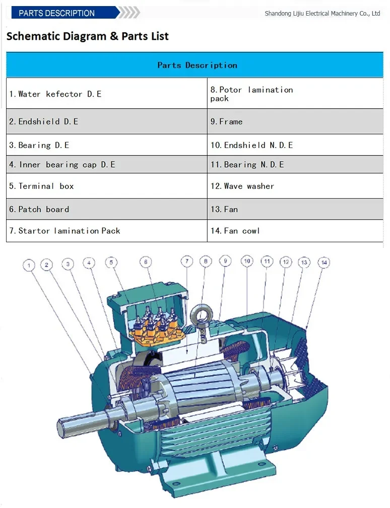 Phase Induction Asynchronous Motor, Rare earth - detail 8