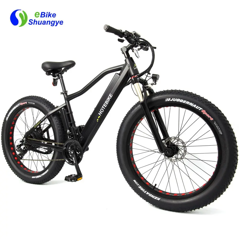 fat tire motorized bicycle