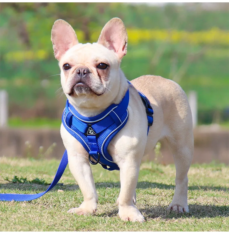Custom Printed Reflective Mesh Padded Pet Vest Front Clip Large Nylon Adjustable No Pull Dog Harness for Small Medium Large details