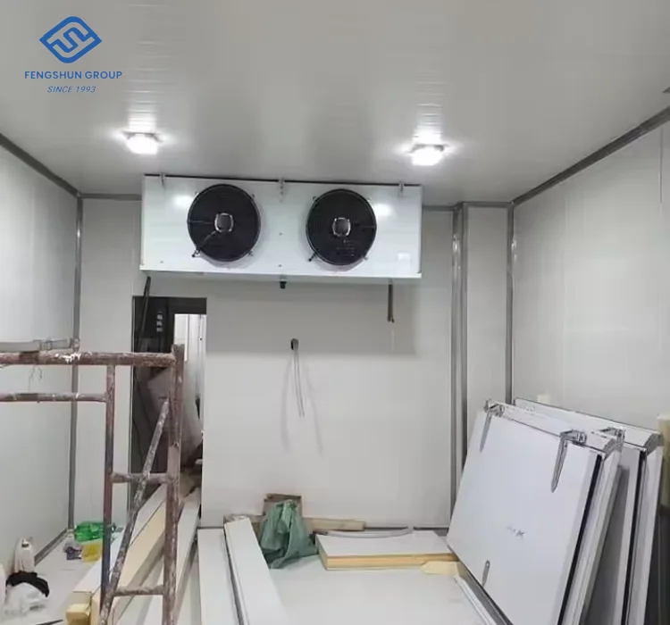 Blast Freezer, 220V, 55 W - detail 18