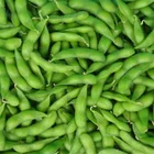 Frozen Frozen Green Soybeans Frozen Peeled Edamame Without Pods