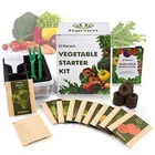 Bonsai Kit Amazon Hot-sale Customized Bonsai Growing Kit With Plastic Seeding Box Including 10pcs Different Flower Seeds