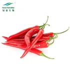 Capsicum Capsicum Plant Extract Capsaicin Oil Capsicum Frutescens P.E. 1% Capsaicin Capsicum Plaster