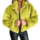 Women Coat 2021 Winter New Clothing Women Thick Coat Plush Touch Warmth Coat Stand Neck Coat With Zipper