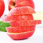 Apple Wholesale High Quality Fresh Competitive Price Red Fuji Fresh Apple