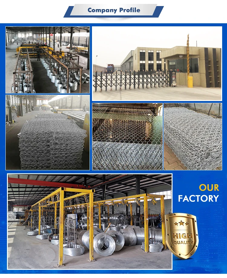 Factory Prices Pvc Coated Galvanized X X Gabion Wire Mesh X Mm