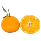 Orange High Quality Delicious Citrus Fruit 100% Maturity Class A Natural Juicy Chinese Fresh Mandarin Orange