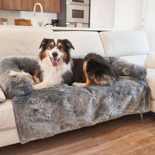 what is the best furniture to buy with dogs