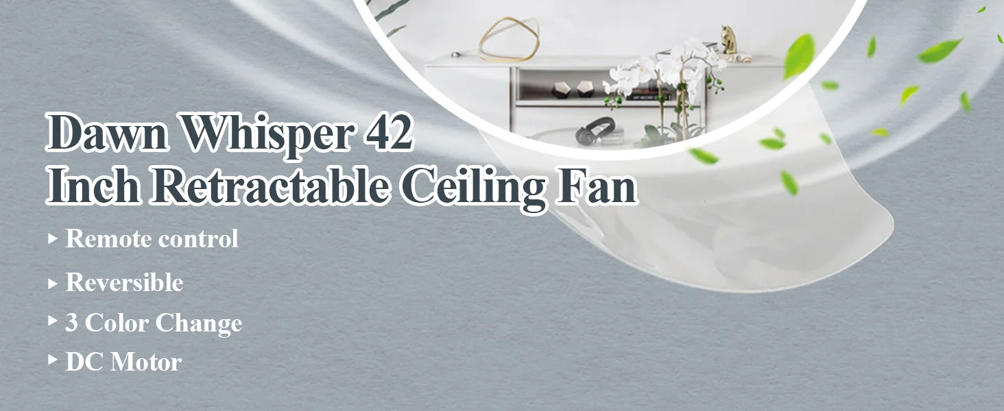 Ceiling Fan, ZY1109 - detail 6