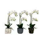 Artificial Potted Plants New Style Orchid Real Touch Forever Flowers Plant Pot Decorative Artificial Flower