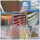 Tray Plastic Trays Manufacturer BYD-004 Hdpe Softgel Drying Tray Stacking Plastic Soap Pasta Drying Trays
