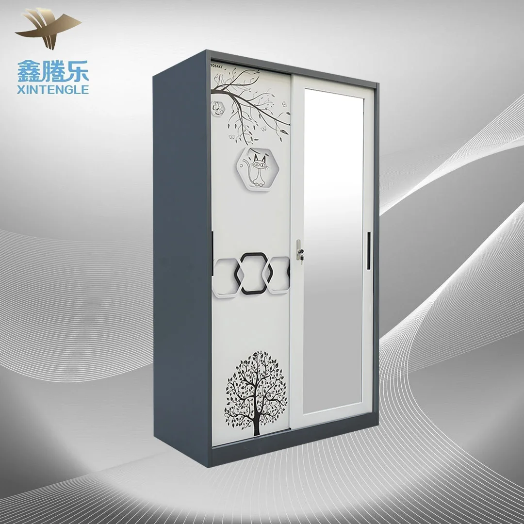 Made in China two door simple style wardrobe steel furniture metal print transfer almirah with mirror