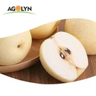 Pear Agolyn New Crop Fresh Ya Pear