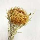 Day Australia Hot-selling Wholesale Dried Flowers Golden Small Pagoda For Mother's Day
