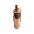 Martini Cocktail Cocktail Shaker Bar Tools Set 500ml Martini Copper Plated Bar Tools Set Cocktail Shaker Bottle