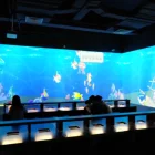 Entertainment Commercial Indoor Playground Children Interactive Entertainment For Kids