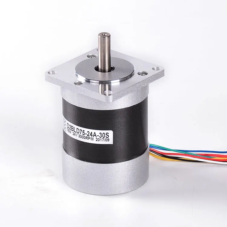 High Speed Long Shaft W Brushless Dc Motor V V Rpm Bldc