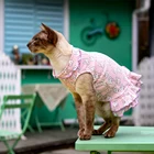 Clothes Child Summer Cute Princess Dress Cat Clothes Pet Anti-hair Falling Milk Cat Puppet Hairless Cat Dress Child Summer
