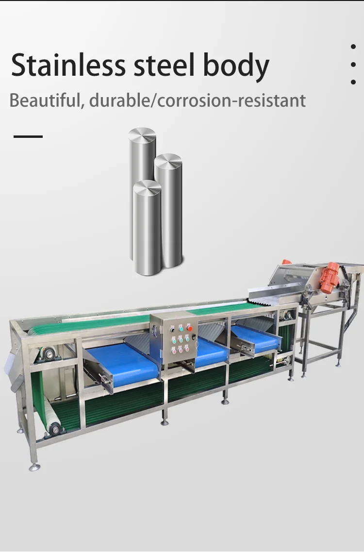 Calibrating Apple Sorter Onion Size Citrus Sorting Machine factory