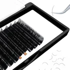 Extensions Wholesale 3D Classic Volume Eyelash Extensions With Custom Packaging
