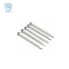 Steel Nails Factory Cheap Galvanized Steel Concrete Steel Nails
