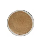 Natural High Quality Natural Dandelion Root Extract Powder With Reasonable Price And Fast Delivery
