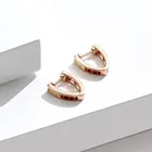 Small Silver Hoop Trendy Simple Design Small Cubic Zirconia 925 Silver Rose Gold Color Hoop Huggie Earrings