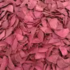 The Most Popular Product Dried VF Beet Root Chips