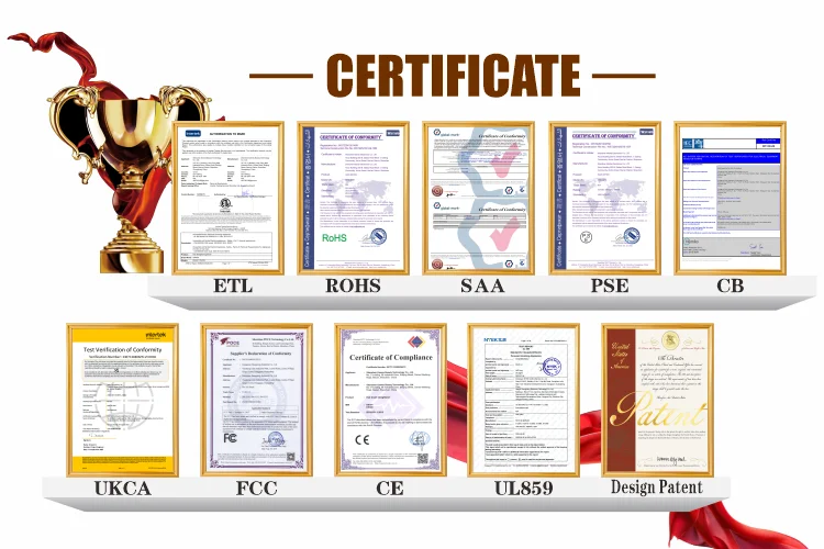 OEM Custom Brand Hot Sale Pink Multistyler Wet and Dry Negative Ion Airstyler Airflow Blower Hair Straightener Styling manufacture