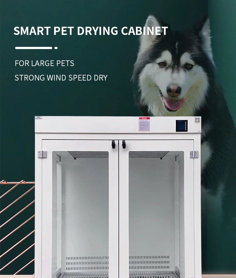 Professional Pet Salon Hair Dryer Cabinet Big Dog Steel Blowers with Iron Stainless Steel for Grooming Tools and Room