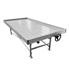 Table With Tray Factory Price High Quality Greenhouse Table With Tray