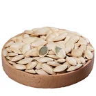 Seed Dried Top Quality Shine Skin Raw Fresh Dried Pumpkin Seed For Sale