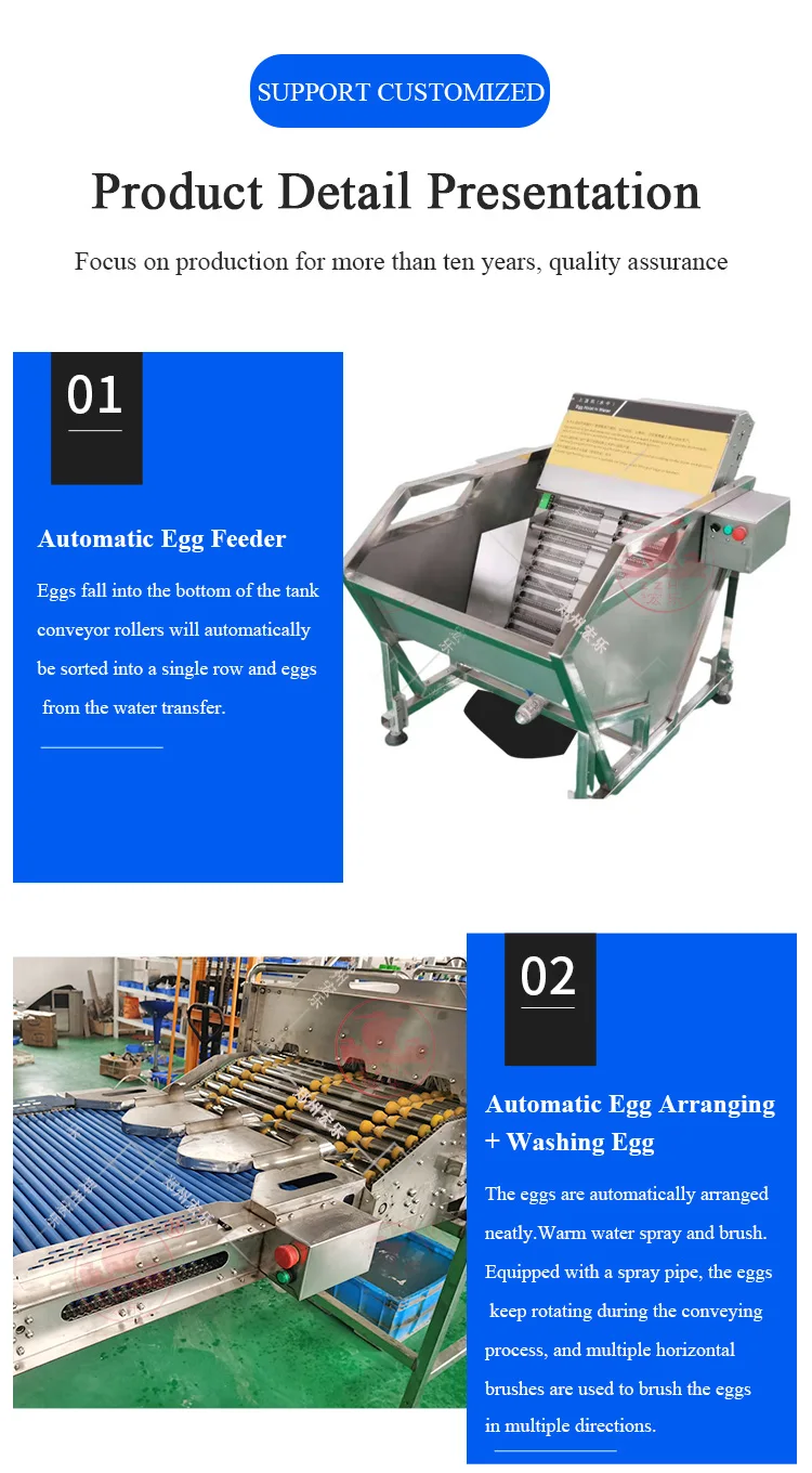 Multifunctional Automatic Egg Cleaner Classifier Grader Machine Small Egg Washing Grading Machine With Low Price supplier