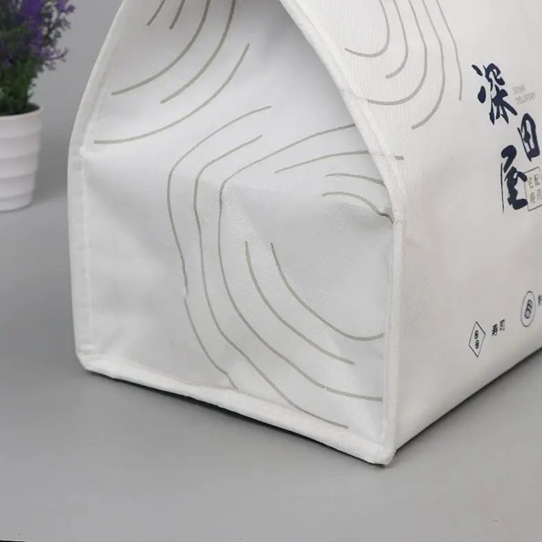 Custom Waterproof Insulation Non Woven Disposable Cooler Bag For Lunch And Food
