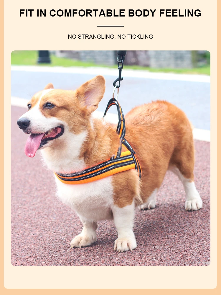 Soft Vest Neck Chest Adjustable Reflective Light weight Harness Anti-Twist Pet Lead Combo Dog Collar Leash And Harness Set