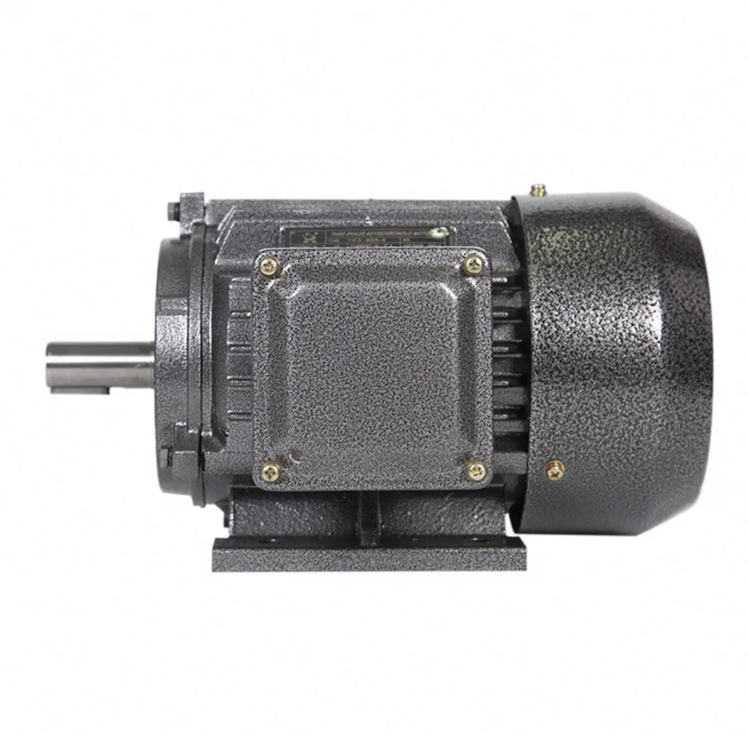 Yy5612 Single-phase Motor, 90W, 2-4 - detail 2