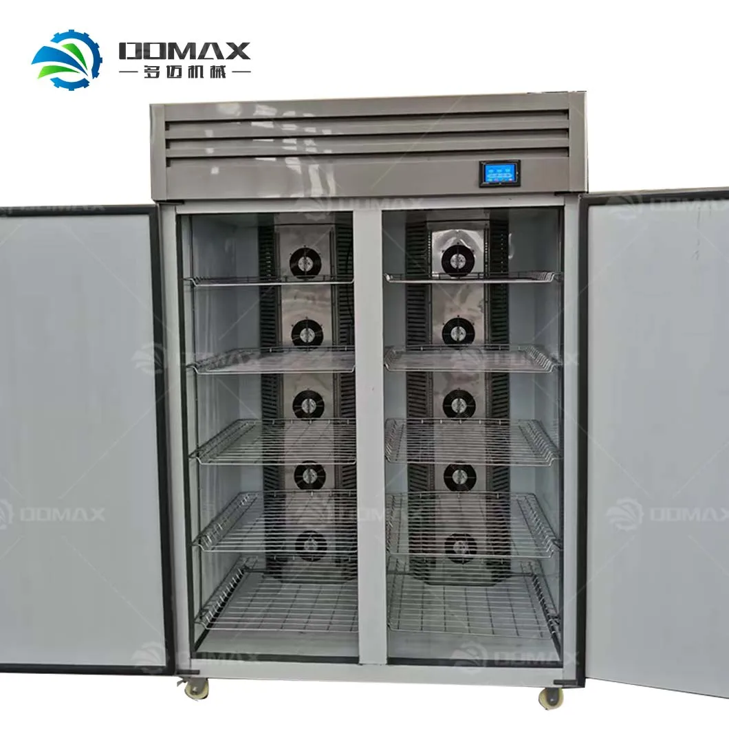 Thawing Equipment, 220v, 3.5kw - detail 4