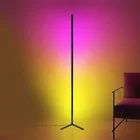 China Factory Dimmable Modern Home Decorative RGB Remote Control LED Floor Standing Lamp Corner Light