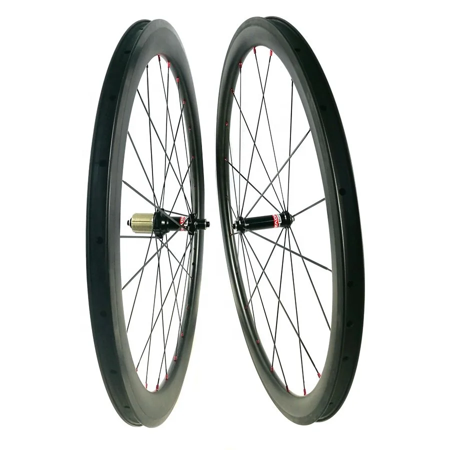 rim light cycle