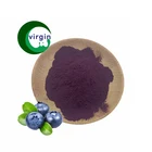 Blueberry Iso Factory Supply Superior Food Grade Flavour Instant Blueberry Powder With Best Price
