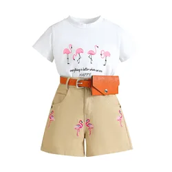 Wholesale children's clothing girls summer new set flamingo short sleeve tops embroidery shorts 2pcs little girls clothes