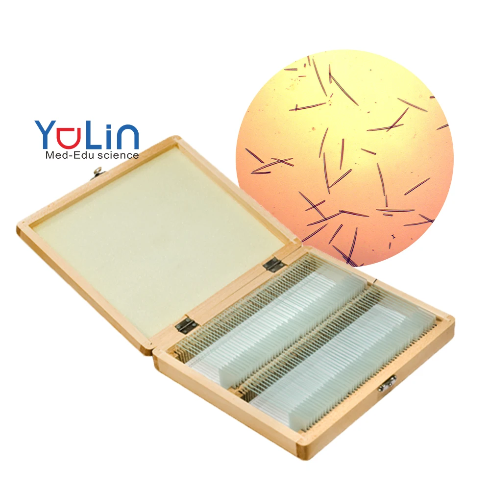 Prepared Lab Glass Slides Advanced Staining Microscope Slide For